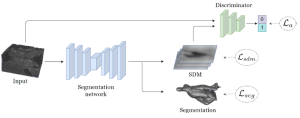 Shape-Aware Semi-Supervised 3D Semantic Segmentation